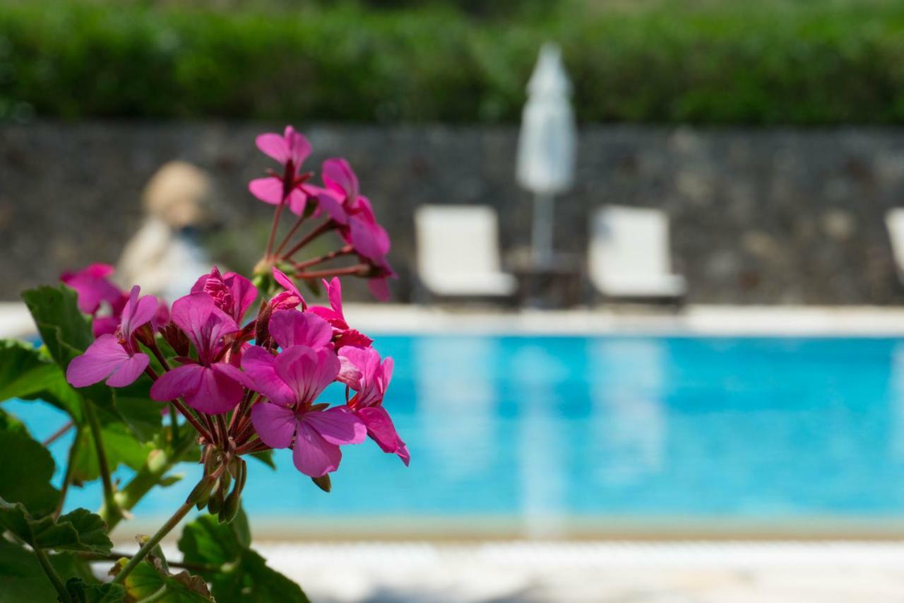 Venus Apartments Sidárion Dış mekan fotoğraf